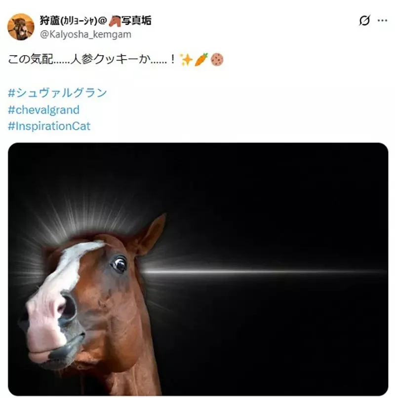日本網友製作《靈光一閃生成器》大家爭相用各種動物試玩了｜高清图片集