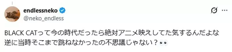 日本網友覺得矢吹健太朗的《黑貓》如果放到現在連載應該會爆紅｜高清图片集