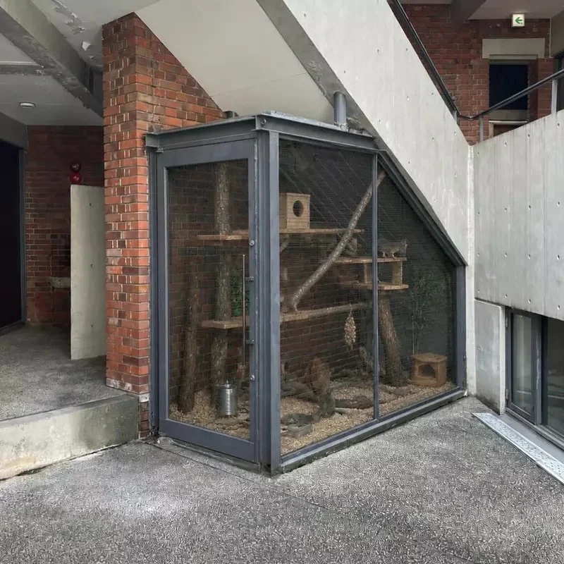 《日本建築師安藤忠雄》半世紀前設計的大樓引發話題 這個神祕的小房間是做什麼的？｜高清图片集