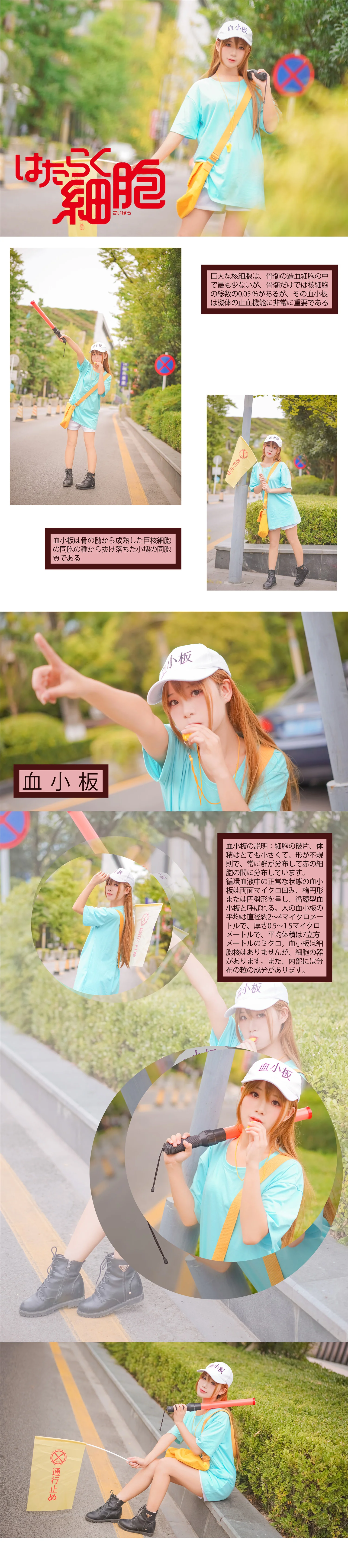 工作细胞 血小板COS写真