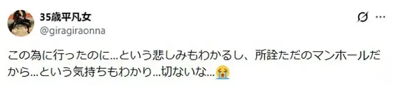 粉絲抱怨大家不愛惜《寶可夢人孔蓋》究竟要怎麼愛惜才好呢？｜高清图片集