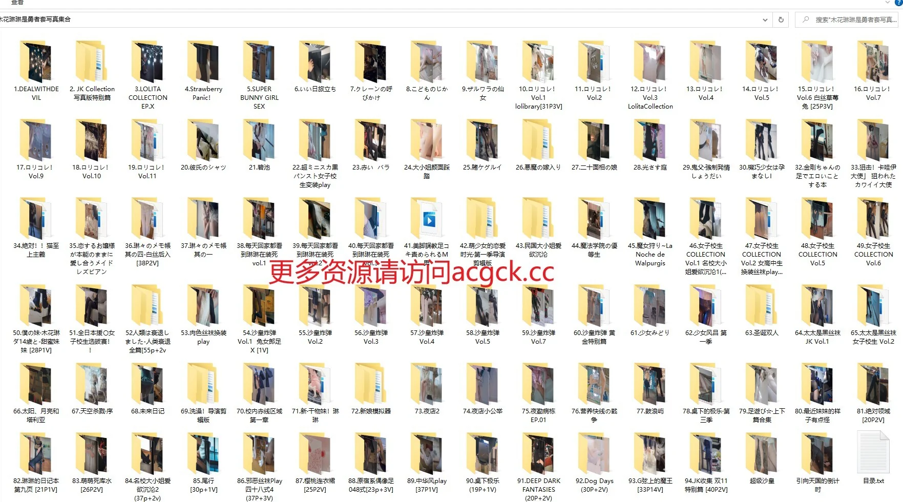木花琳琳是勇者套写真集合【100套】[60.51GB]