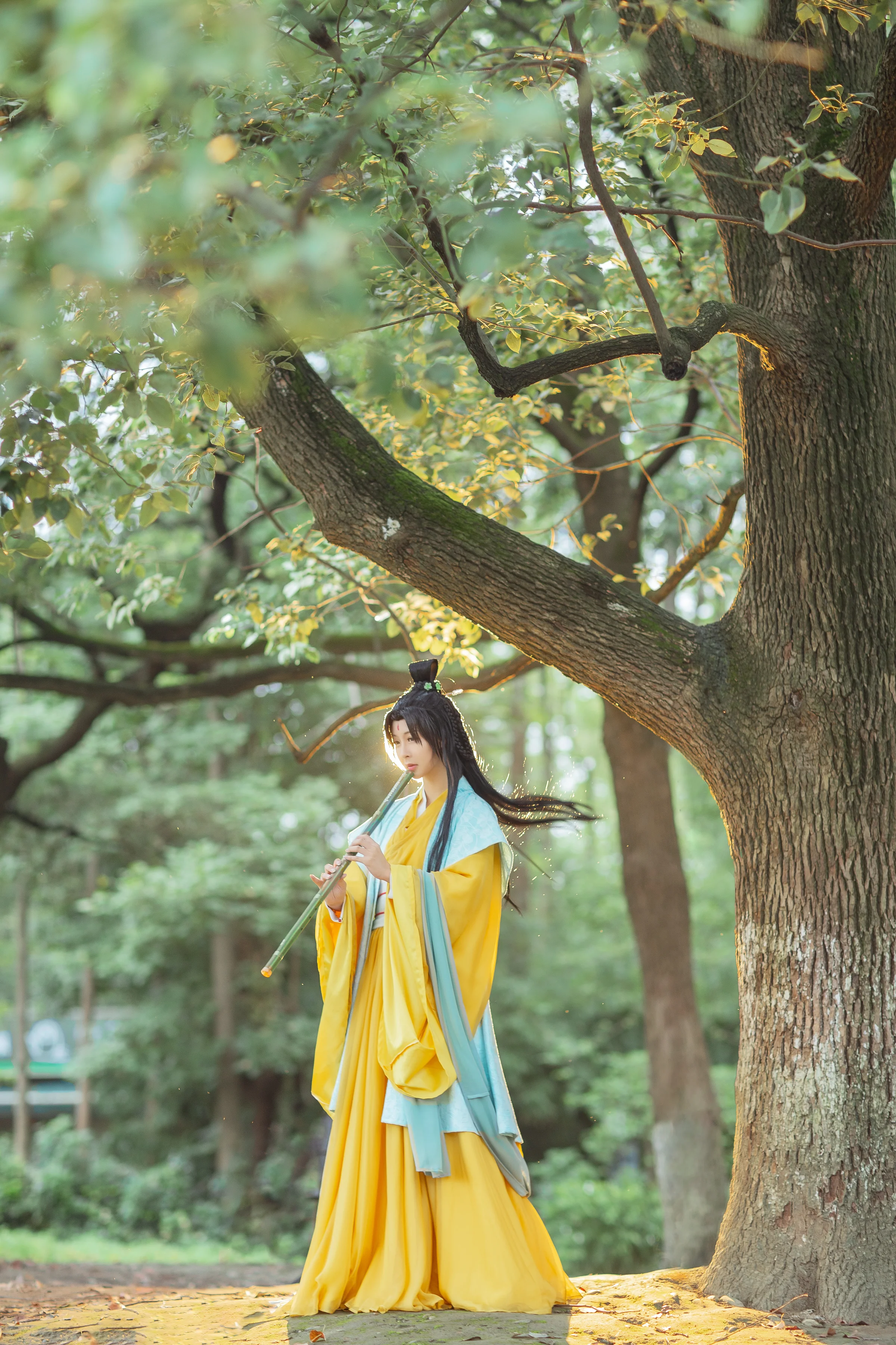 【COS写真正片/瑶音】东方淮竹
