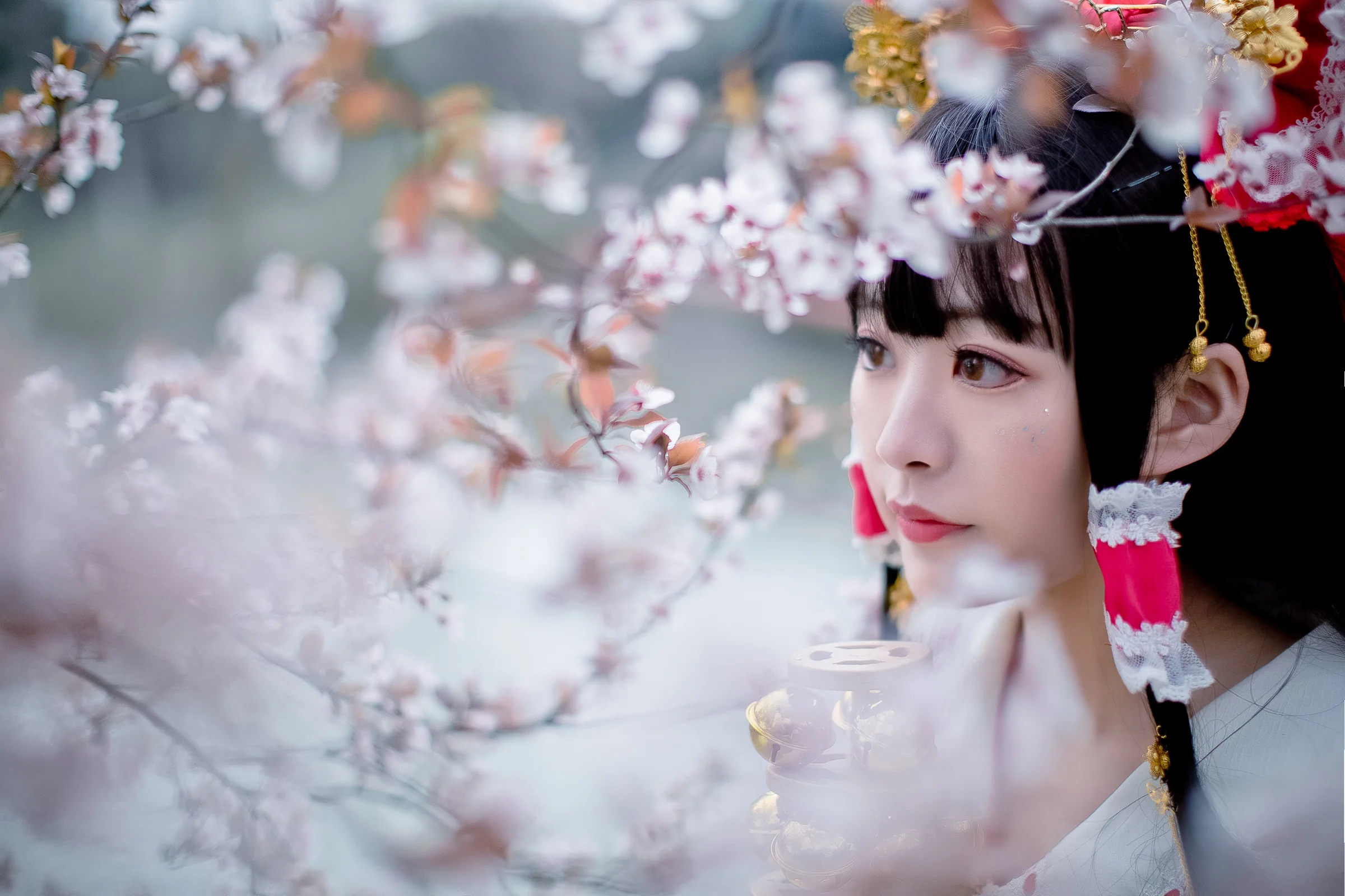 【东方project】神社的巫女｜高清图片集