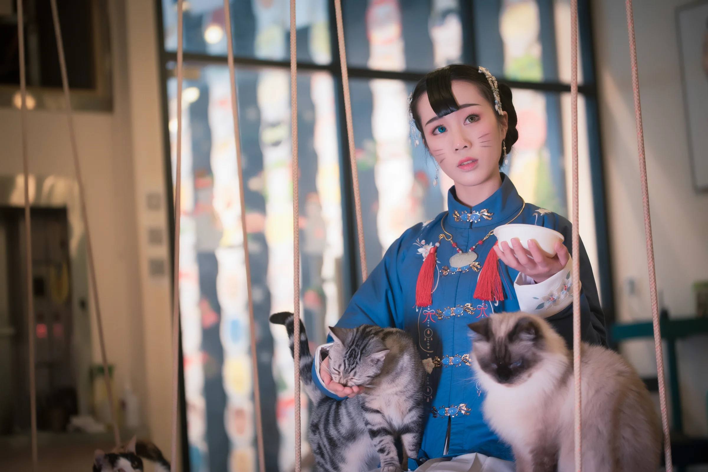 汉服日常#猫趣#｜高清图片集