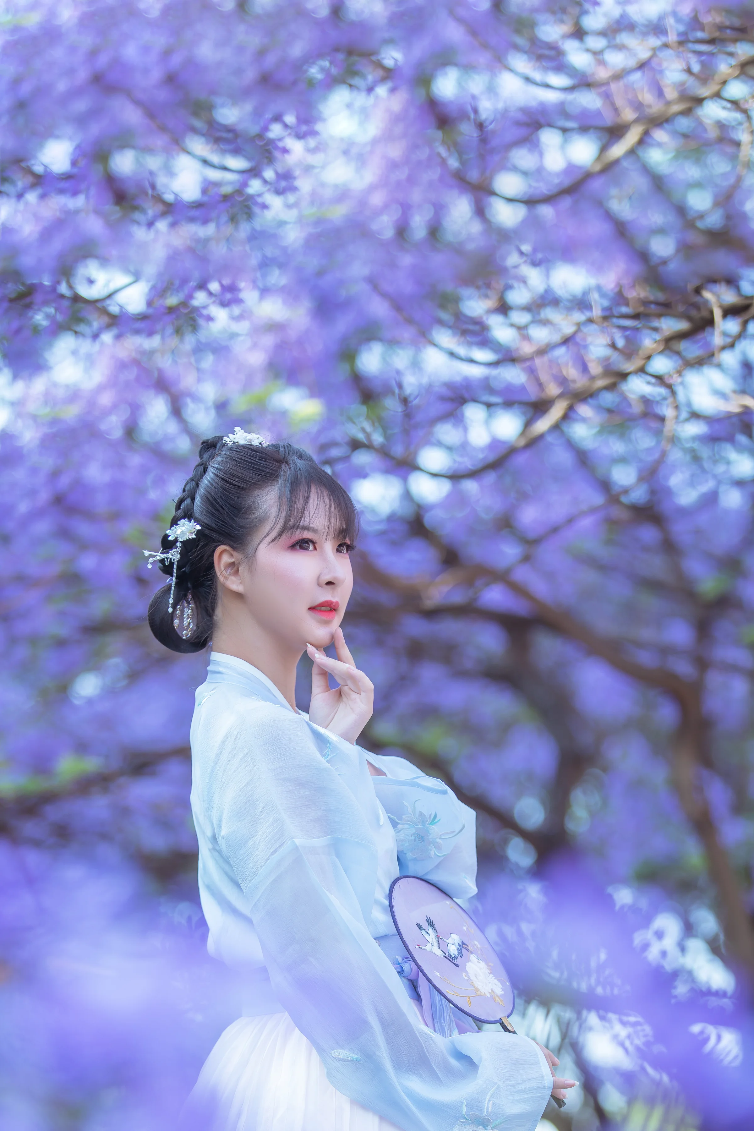 汉服蓝花楹｜高清图片集