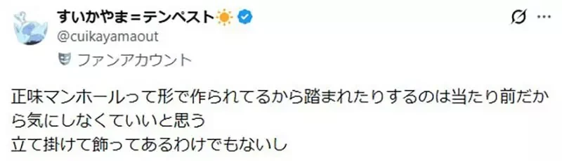 粉絲抱怨大家不愛惜《寶可夢人孔蓋》究竟要怎麼愛惜才好呢？｜高清图片集