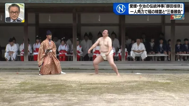 日本奇妙祭典《跟稻田精靈比相撲》唯一的力士後繼無人好苦惱｜高清图片集