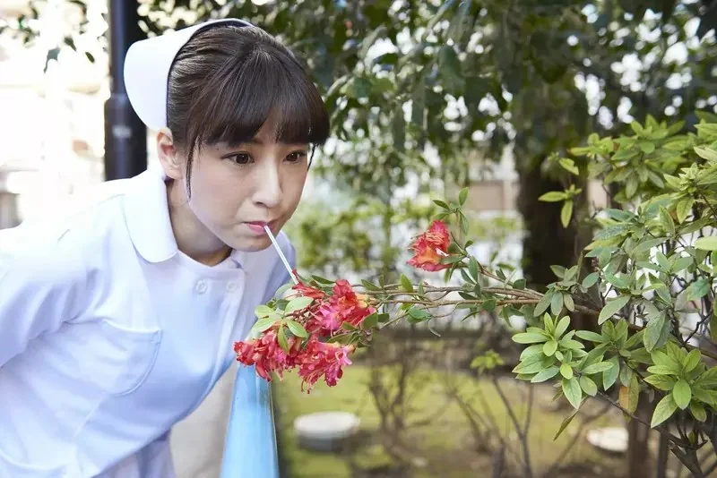 日本搞笑護理師素材網《Sukima Nurse》連不上了 網友懷疑是被ＡＩ取代了嗎？｜高清图片集