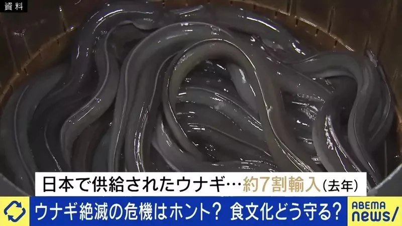 《我們這一家》爭論該不該吃瀕臨絕種的鰻魚 你支持花媽還是柚子的說法？｜高清图片集