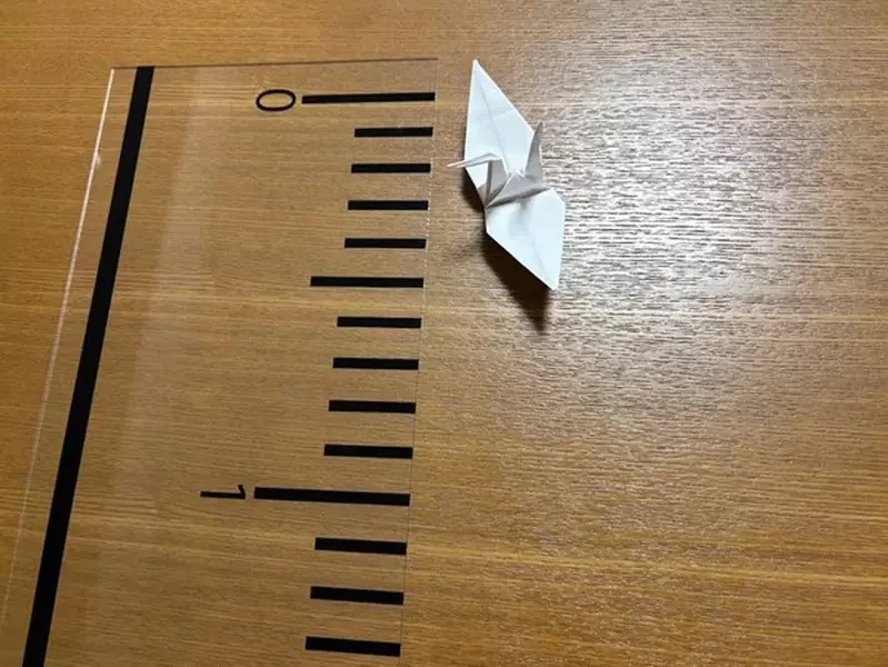 網友做了一把《超巨直尺》效果就是可以讓任何東西看起來小小的...｜高清图片集