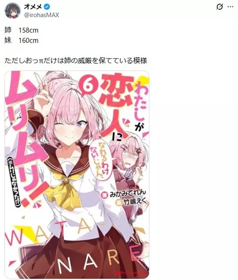 《動漫中的姊妹》妹妹常常長得比姊姊成熟？宅宅們腦中浮現出各種例子了｜高清图片集