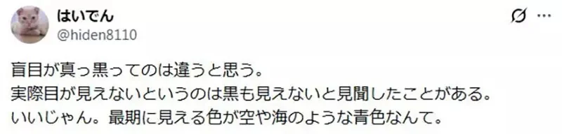 《獵人全彩版問題》小麥與王下的最後一盤棋 背景塗成藍色究竟適不適當呢？｜高清图片集