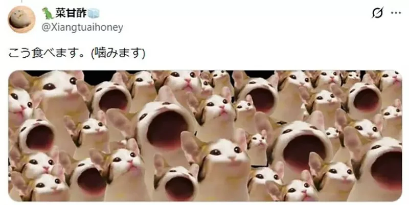 日本夏日祭典常見的《蘋果糖》韓國網友好奇到底應該怎麼吃？｜高清图片集