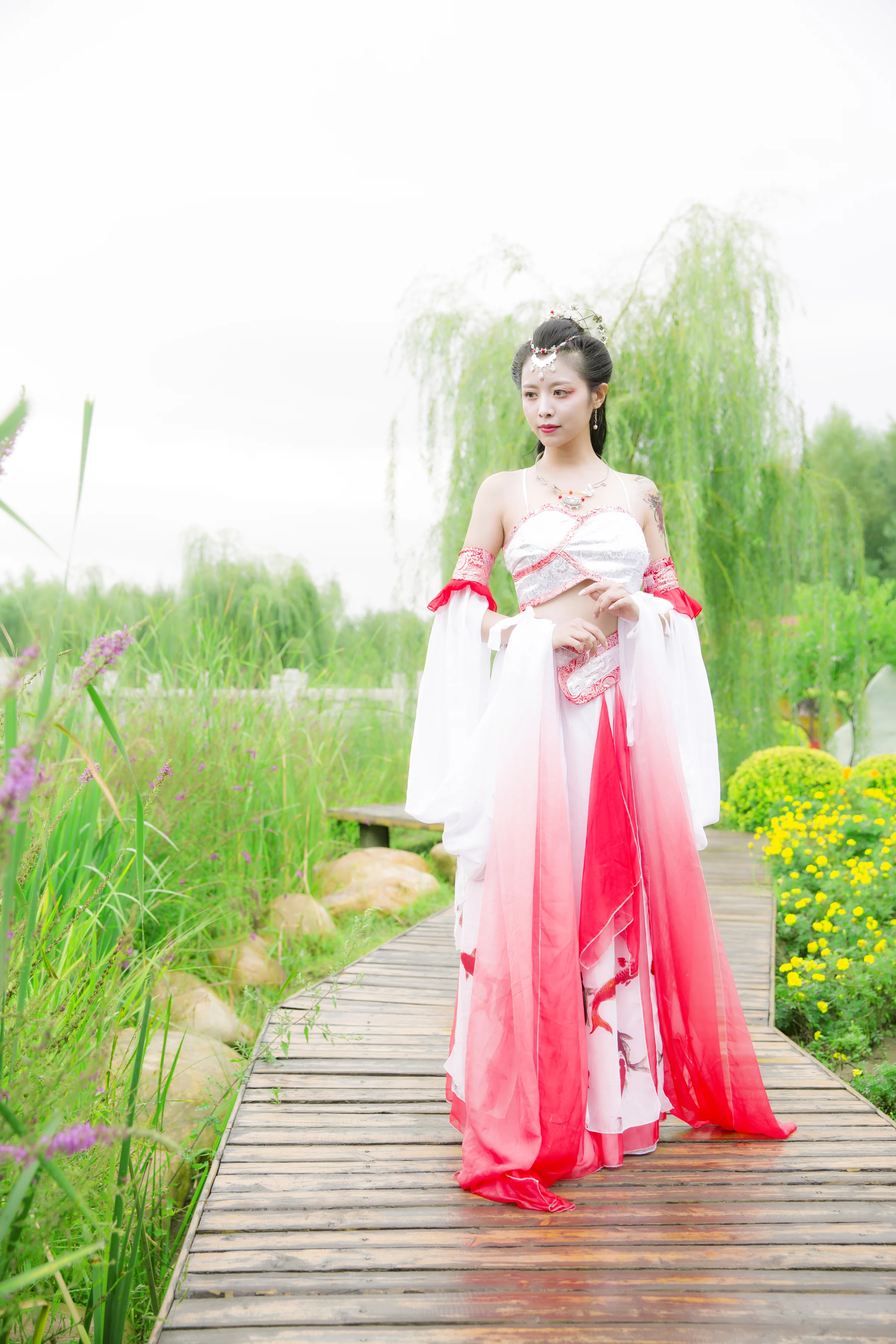 锦鲤抄 给大家带来好运！｜高清图片集