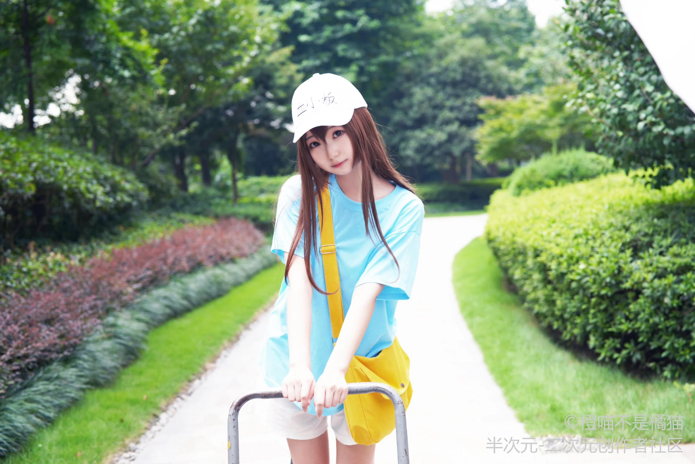 工作细胞 血小板COS写真