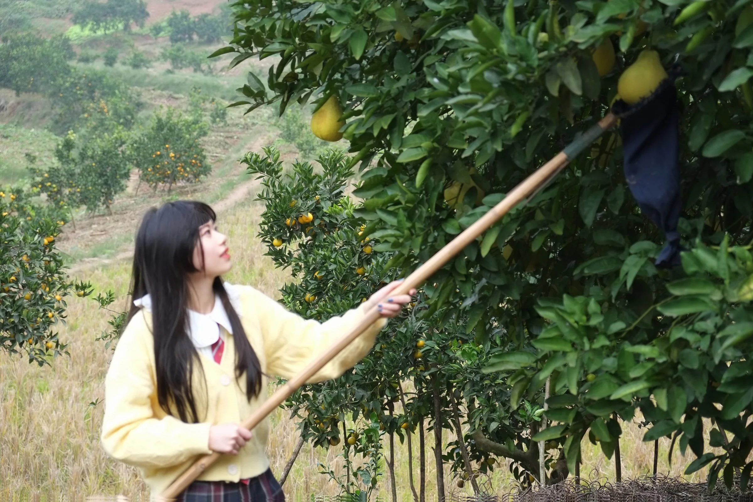 飞翔的魔女～木幡真琴COS写真