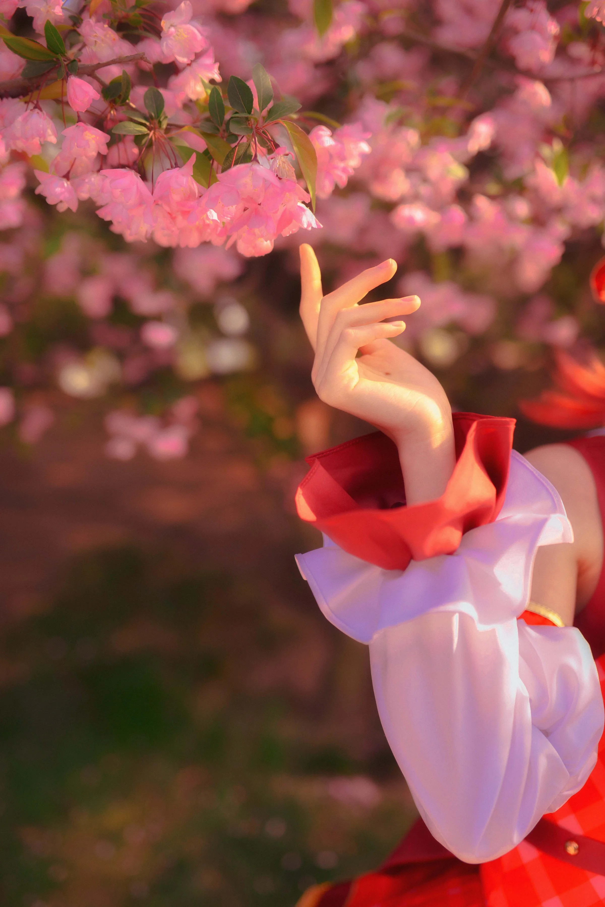 lovelive西木野真姬COS写真，花海真美