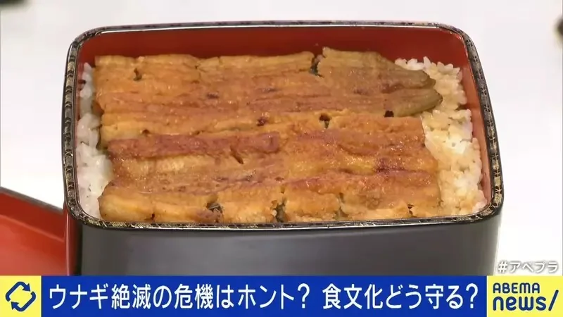 《我們這一家》爭論該不該吃瀕臨絕種的鰻魚 你支持花媽還是柚子的說法？｜高清图片集