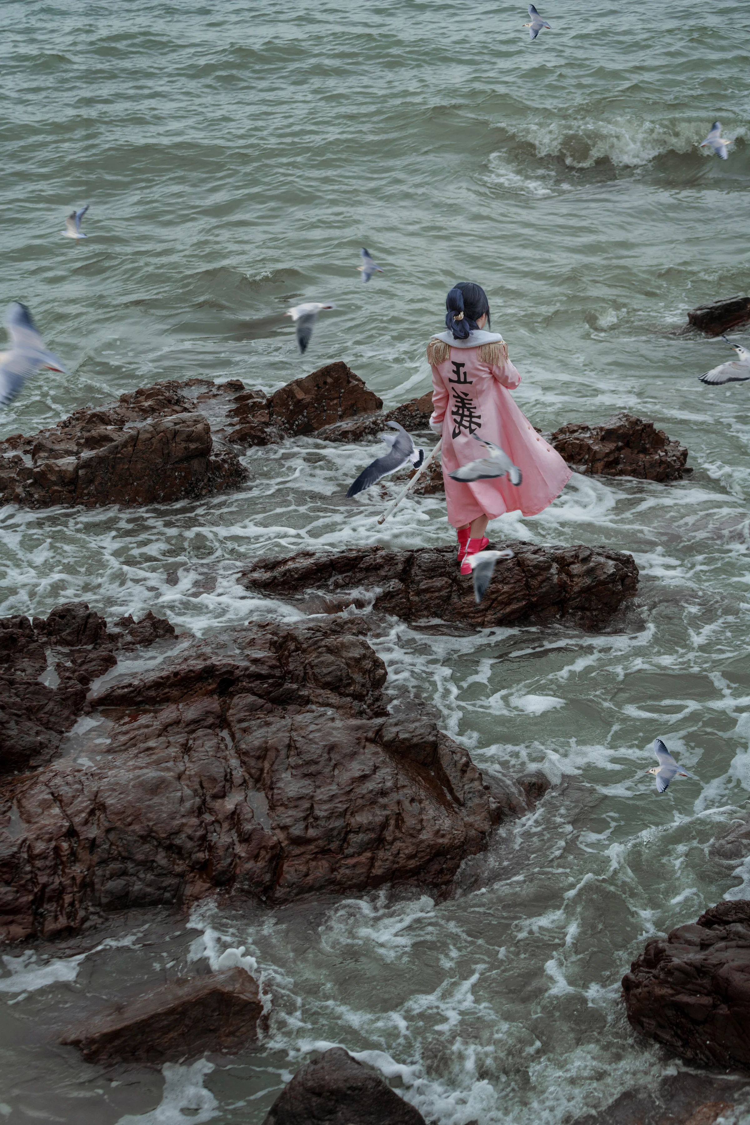 海贼王达斯琪COS写真