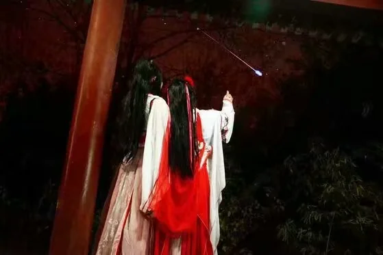 梅花拟人COS写真