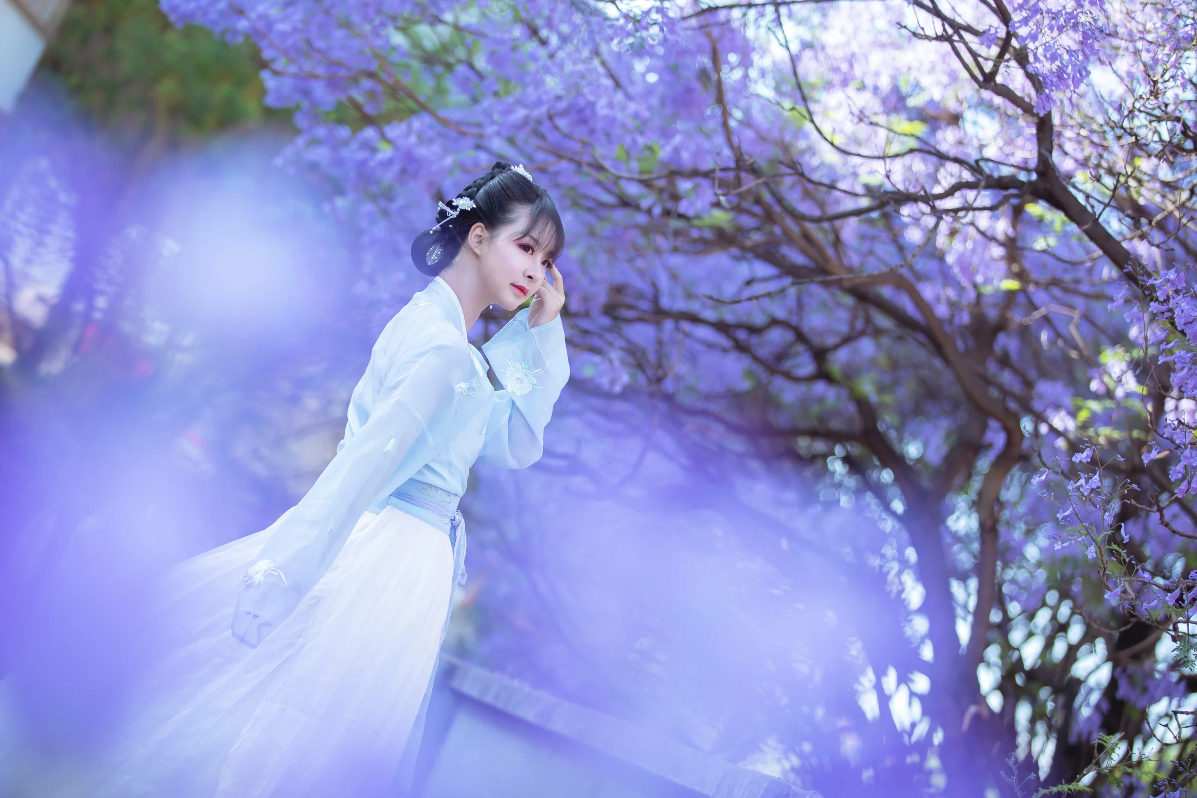 汉服蓝花楹｜高清图片集