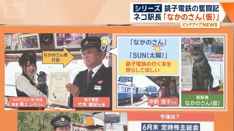 銚子電鐵《新貓咪站長上任》該不該拿掉名字裡的（暫定）成了下一個議題｜高清图片集