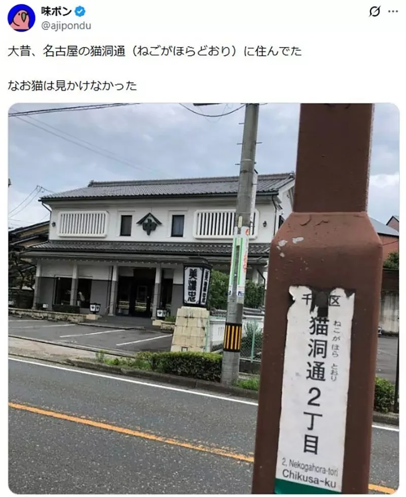 貓奴們想要住在《名字有貓字的地區》日本各地其實存在這麼多｜高清图片集