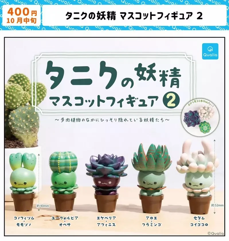 扭蛋商品《多肉植物小妖精》第二彈預計10月中旬推出 特別喜愛小東西療癒自己的朋友，這一檔也不要錯過唷｜高清图片集