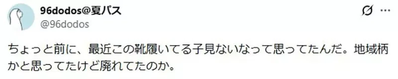 日本網友質疑《穿輪鞋上下學的小學生》是不是只有在動畫裡面看得到？｜高清图片集
