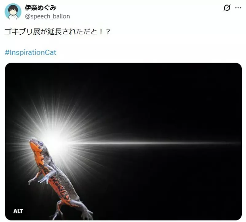 日本網友製作《靈光一閃生成器》大家爭相用各種動物試玩了｜高清图片集