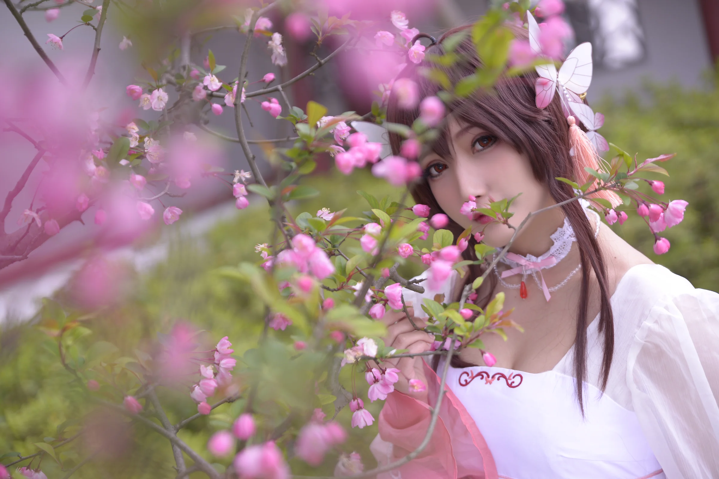 镜花水月-乐正绫COS写真