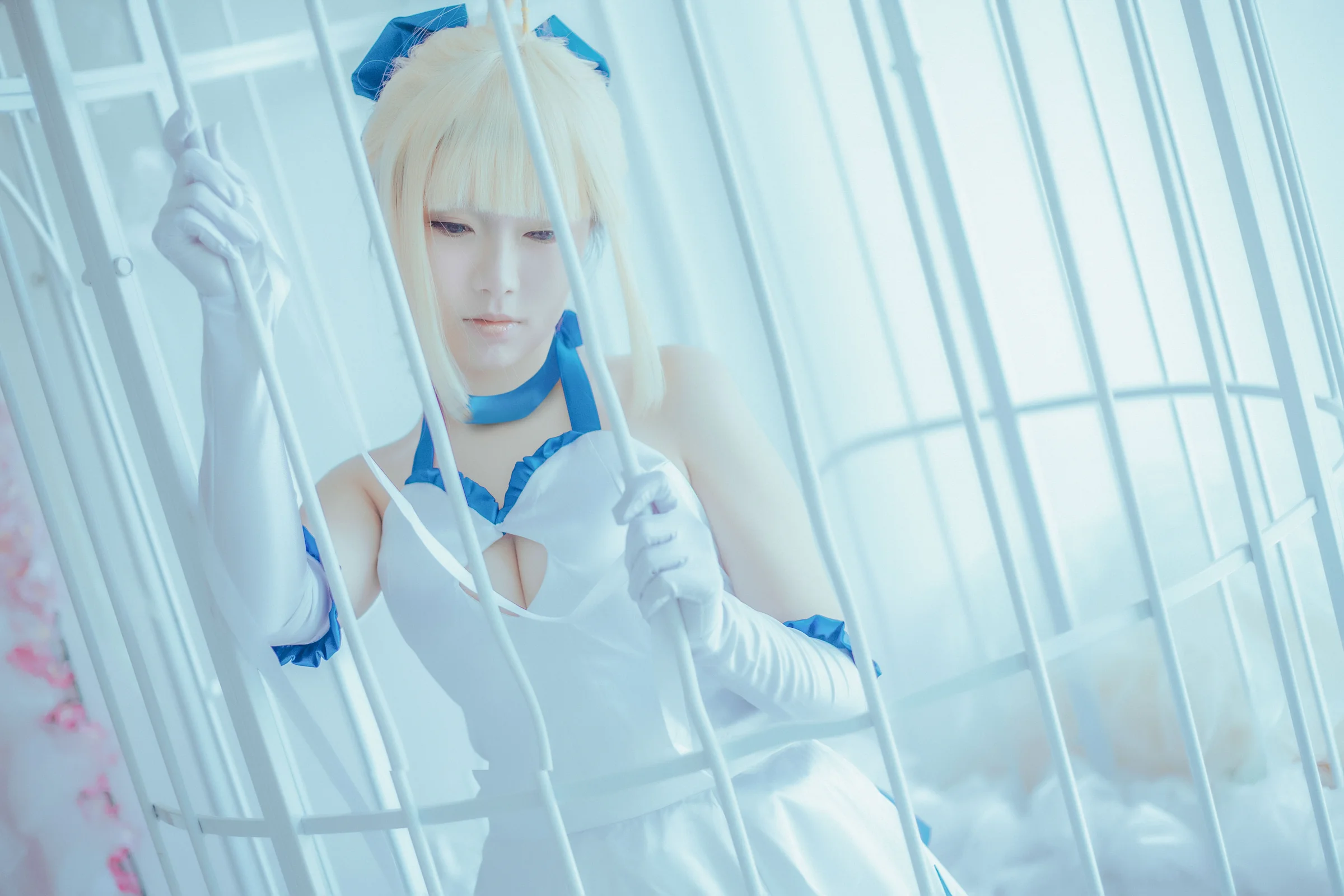 saber lily蓝百合COS写真