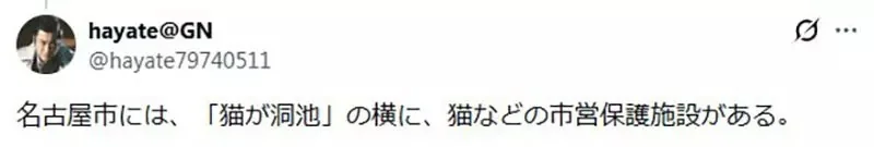 貓奴們想要住在《名字有貓字的地區》日本各地其實存在這麼多｜高清图片集