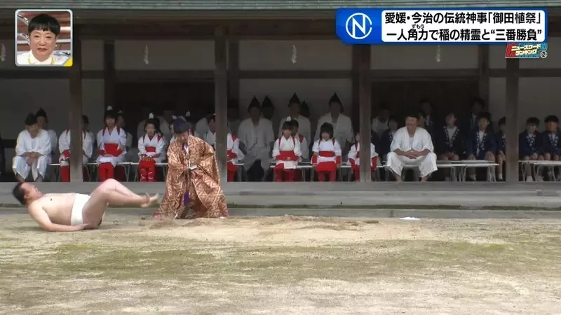 日本奇妙祭典《跟稻田精靈比相撲》唯一的力士後繼無人好苦惱｜高清图片集