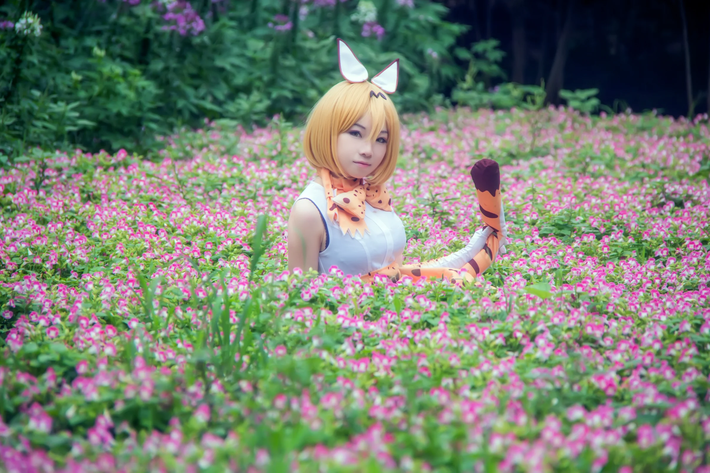 兽娘动物园 薮猫COS写真