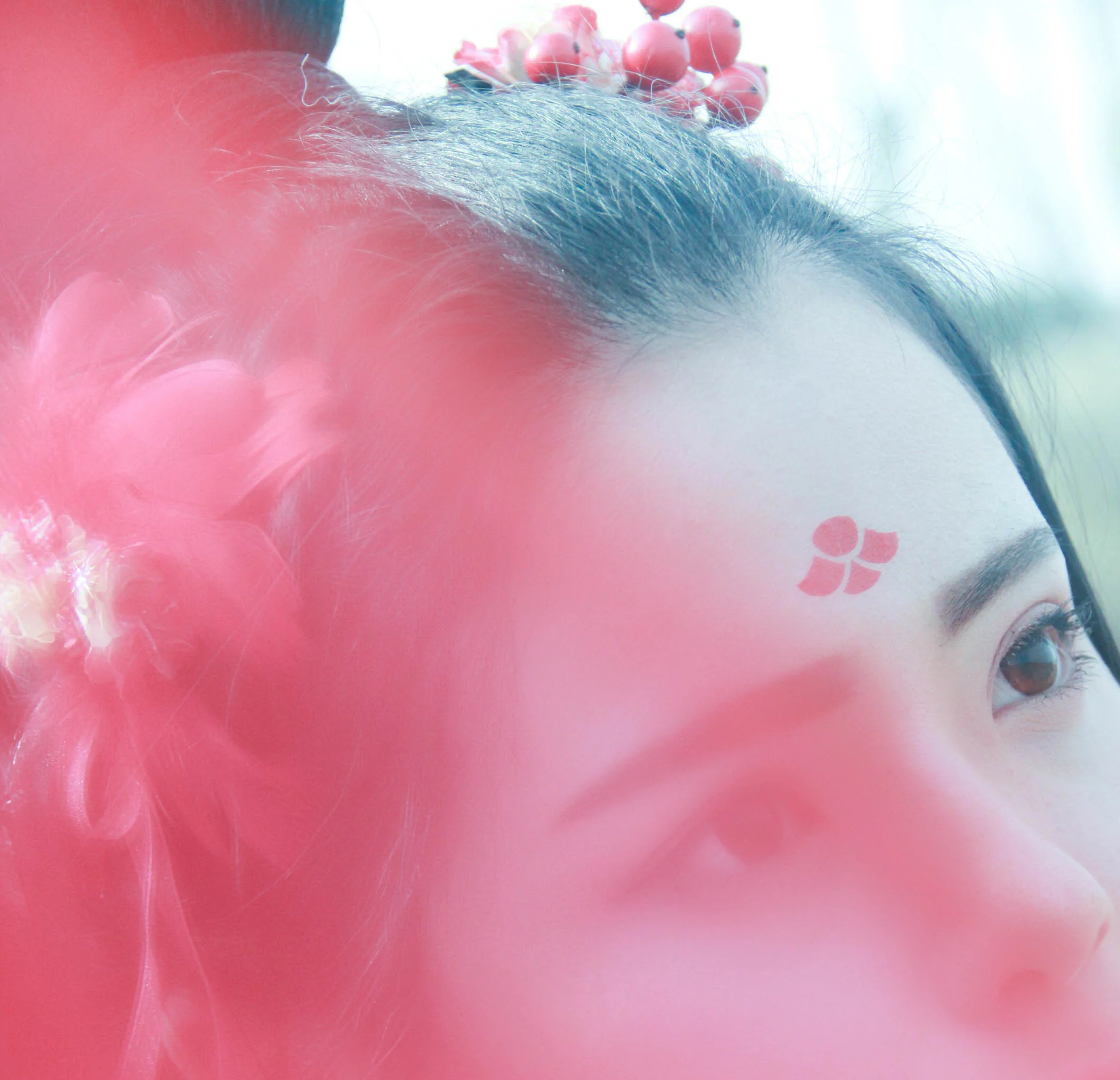 小凰不是仙 田真COS写真