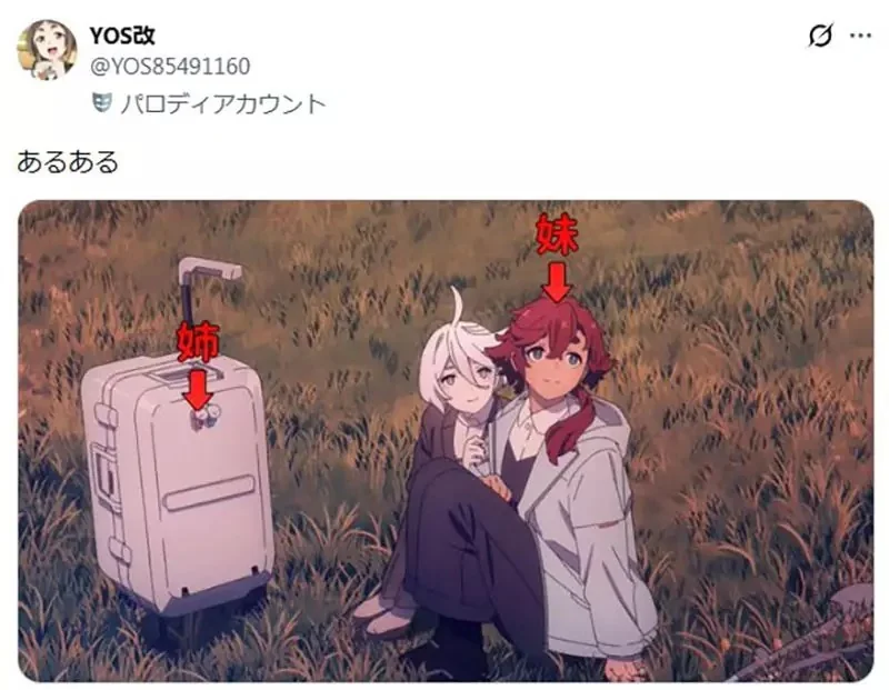 《動漫中的姊妹》妹妹常常長得比姊姊成熟？宅宅們腦中浮現出各種例子了｜高清图片集