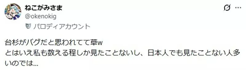 《極限競速 地平線6》玩家質疑樹木建模有BUG？原來是日本特有的台杉｜高清图片集