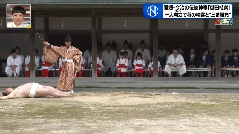 日本奇妙祭典《跟稻田精靈比相撲》唯一的力士後繼無人好苦惱｜高清图片集