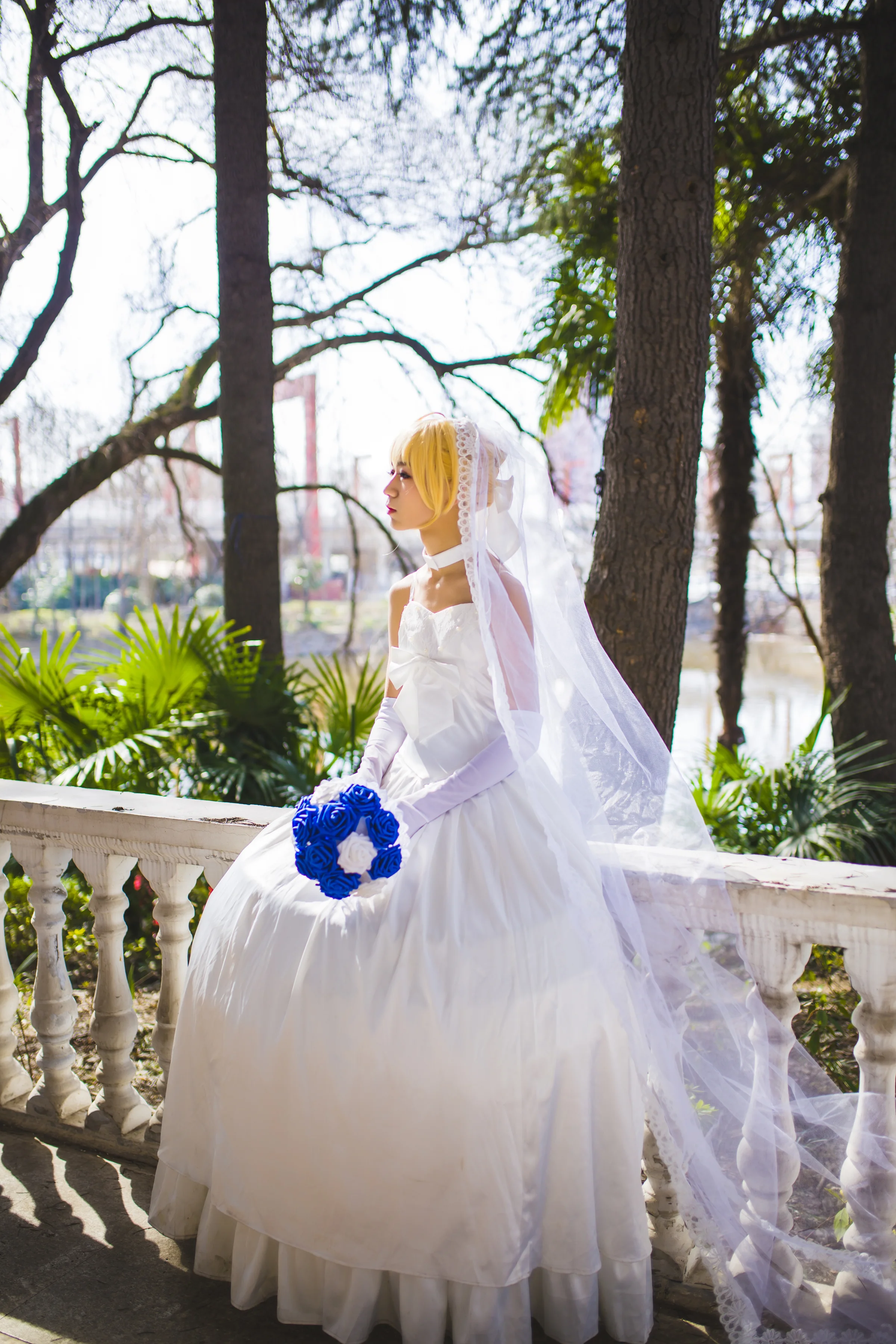 fate 花嫁saber｜高清图片集