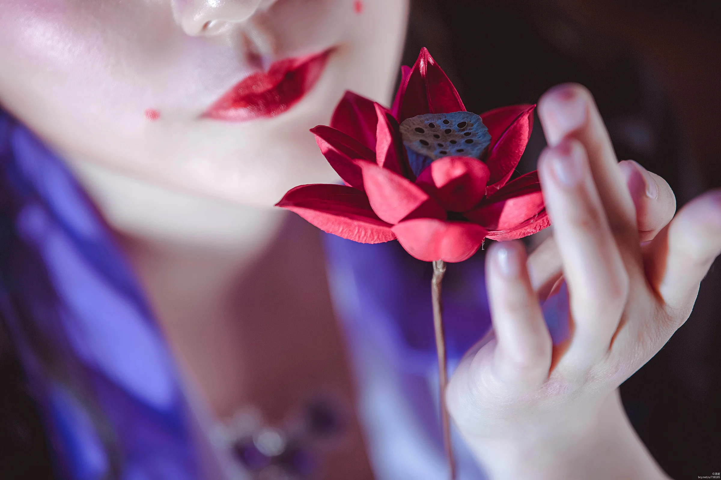 秦风花姐COS写真