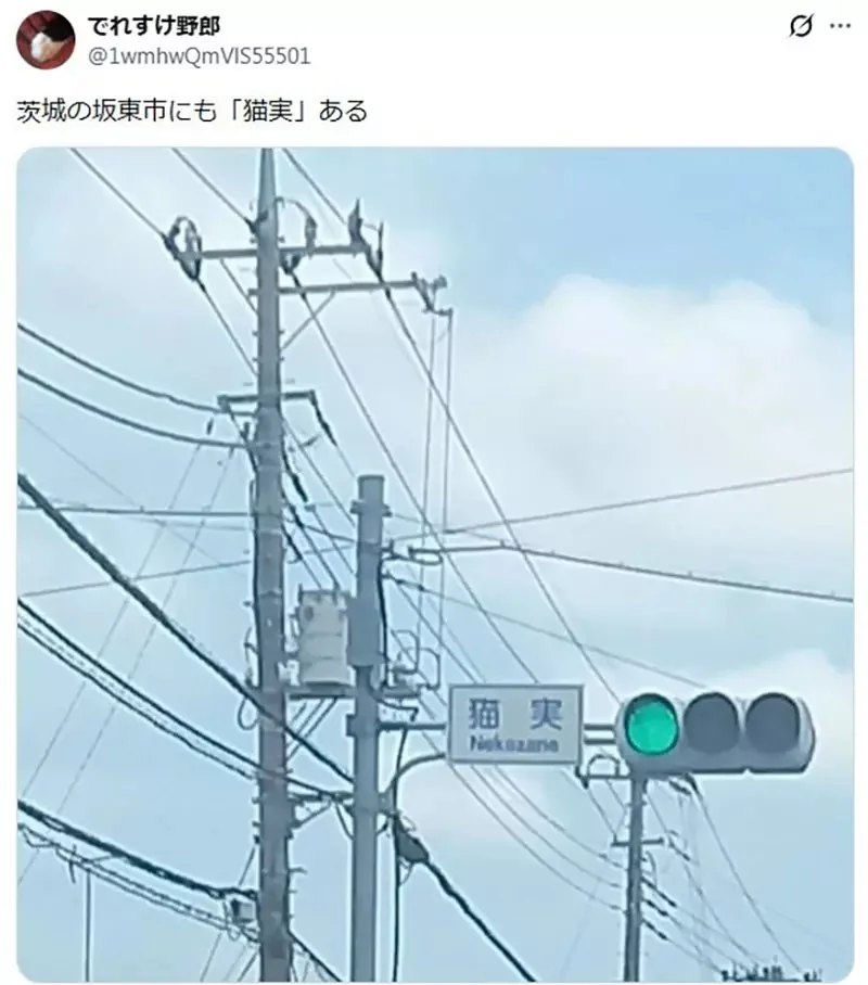 貓奴們想要住在《名字有貓字的地區》日本各地其實存在這麼多｜高清图片集