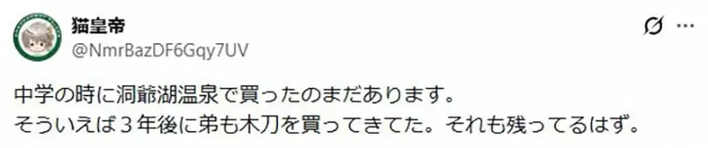 日本媽媽不懂為什麼《小孩參加校外教學都要買木刀》網友們都來分享木刀的魅力了｜高清图片集