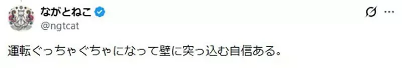 日本自動駕駛公車的《手把按鍵配置》被玩家們吐槽是門外漢？｜高清图片集