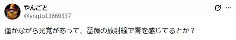 《獵人全彩版問題》小麥與王下的最後一盤棋 背景塗成藍色究竟適不適當呢？｜高清图片集