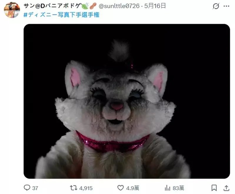 推特話題《迪士尼樂園翻車照大賽》網友投稿各種超神NG照片｜高清图片集