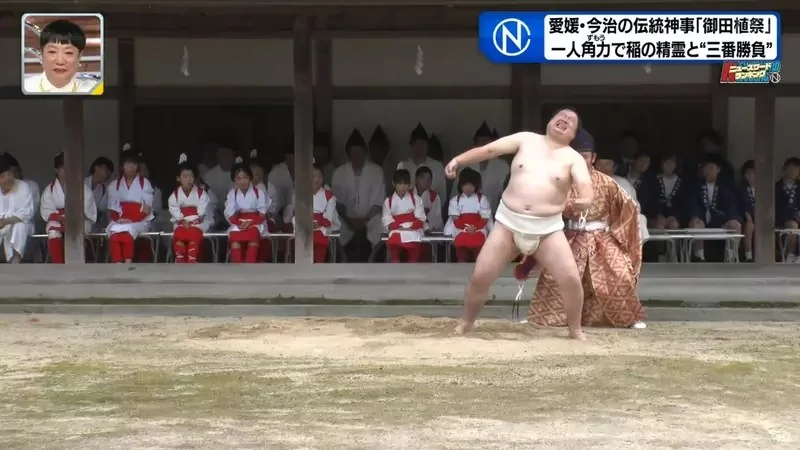 日本奇妙祭典《跟稻田精靈比相撲》唯一的力士後繼無人好苦惱｜高清图片集