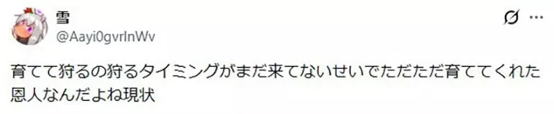 《獵人粉絲看西索》雖然設定上是個狂人小丑 仔細想想卻沒對小傑做什麼壞事？｜高清图片集