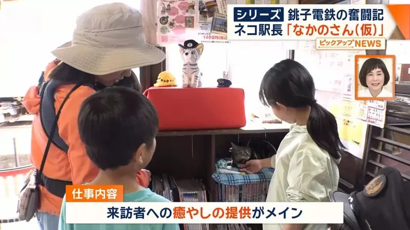 銚子電鐵《新貓咪站長上任》該不該拿掉名字裡的（暫定）成了下一個議題｜高清图片集